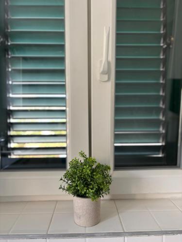 a plant in a pot sitting on a window sill at Studio Apartment Krapanj in Krapanj