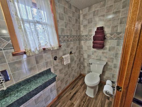 a bathroom with a toilet and a tub and a window at Cedar Wood Inn in Deadwood
