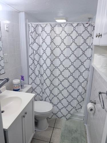 a bathroom with a toilet and a shower curtain at Garden level one bedroom apartment in Brockton
