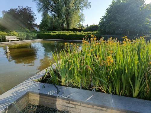 a pond in a garden with grass and flowers at Sun and Sea De Haan in De Haan