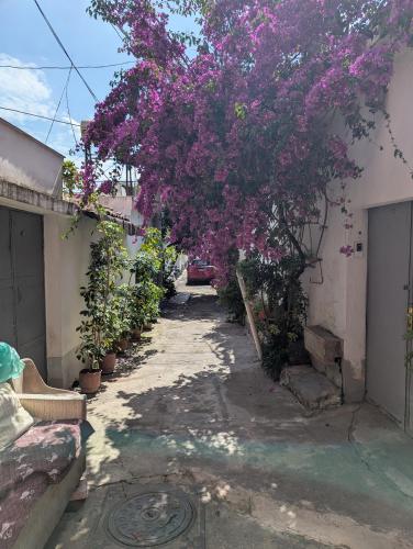 Tirana center Apartment 1