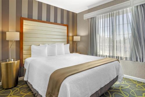 a hotel room with a large bed and a window at Best Western Plus Dixon Davis in Dixon
