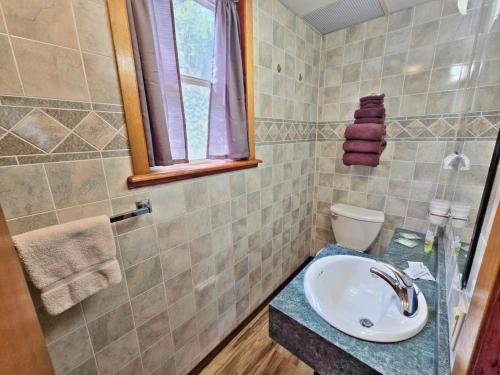 a bathroom with a sink and a toilet at Cedar Wood Inn in Deadwood