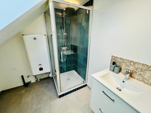 une salle de bain avec douche et lavabo dans l'établissement Le Numéro Douze, Charme en ville, à Tours