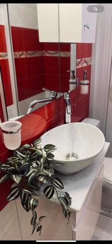 a bathroom with a sink and a red wall at Semiramis Guesthouse in Adamas