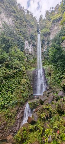 a waterfall on the side of a mountain at Cozy Vacation Retreat Apt 2 in Trafalgar