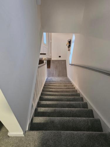 a staircase in a house with a dog looking out the window at Rehoboth Stays in Dukinfield