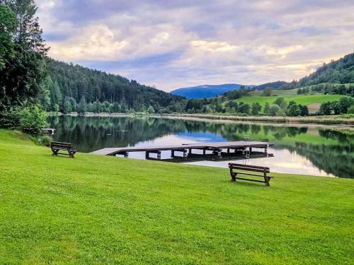 two benches in the grass near a lake with a dock at Apartment Simonhöhe Veitsberg by Interhome in Sankt Paul