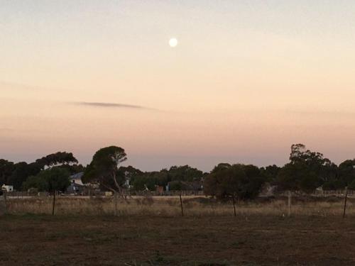 Příroda nedaleko kempu