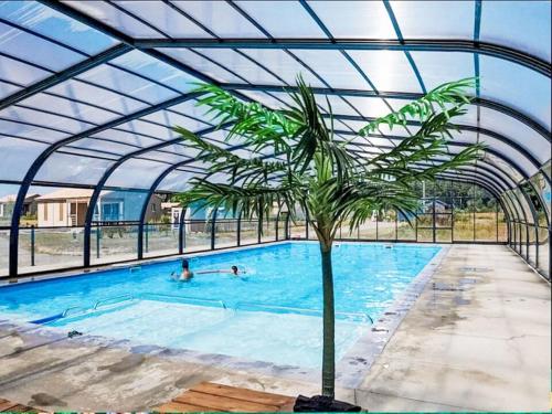 un palmier dans une piscine sous un enclos dans l'établissement Holiday Home Ty Flor by Interhome, à Marzan