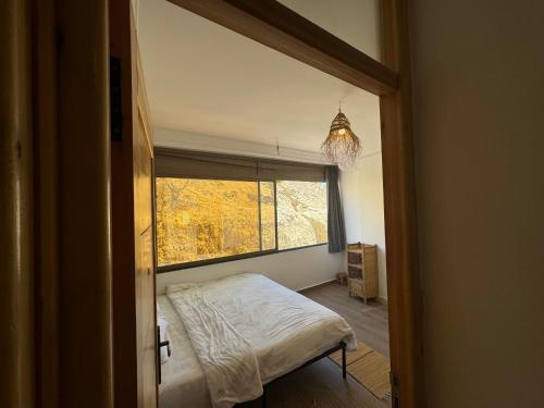 Imagen de la galería de JUNGLE surf HOUSE, en Taghazout