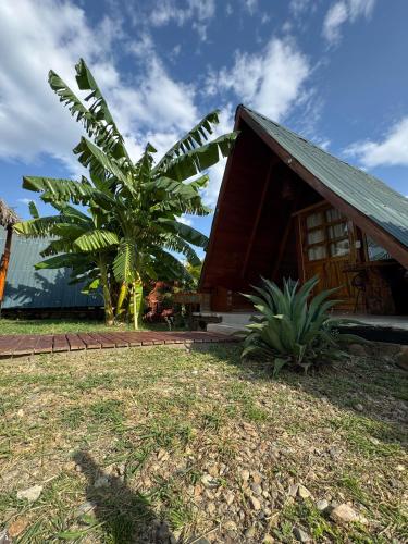 a house with a palm tree in front of it at Hotel Luna Azul Tatacoa in Villavieja