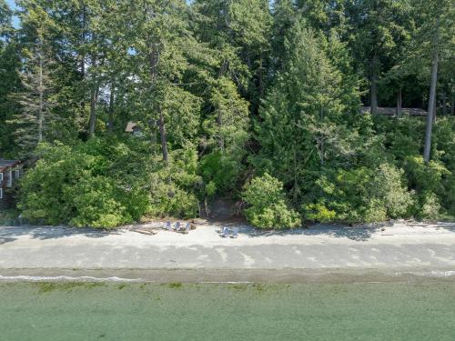 an aerial view of a sandy beach with trees at Sandy Beachfront, Hot Tub, Pet-friendly, Kayaking 
