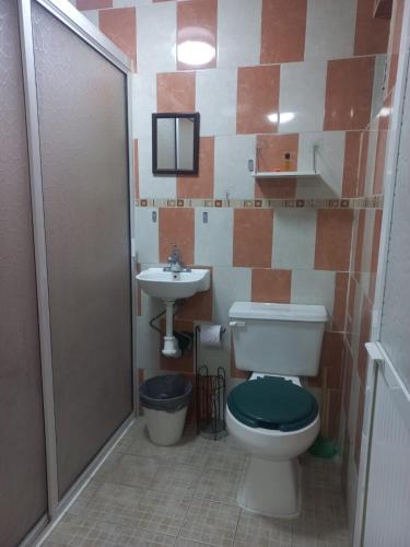 a bathroom with a toilet and a sink at Apartment bello y tranquilo in Mexico City