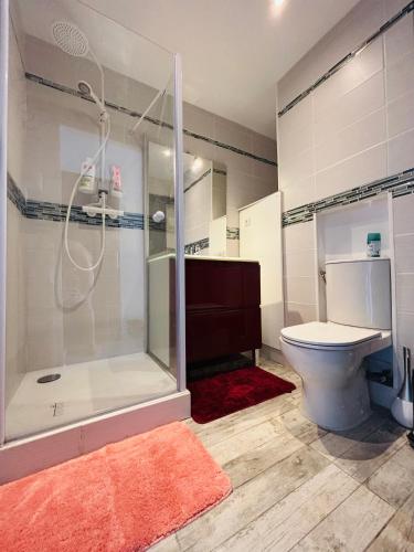 une salle de bain avec douche et toilettes dans l'établissement Cosy T2 climatisé sur le port à 5min de la mer parking privé linge de bain et de lit fournis, à Port-Leucate
