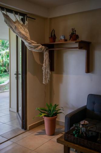 a living room with a couch and a plant on a shelf at Seahouse Beachfront B&B with Pool in Bocas del Toro