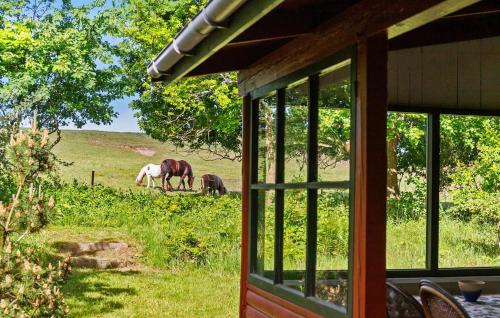 Melbyにある2 Bedroom Pet Friendly Home In Melbyの家の裏の畑で草を食む2頭の馬