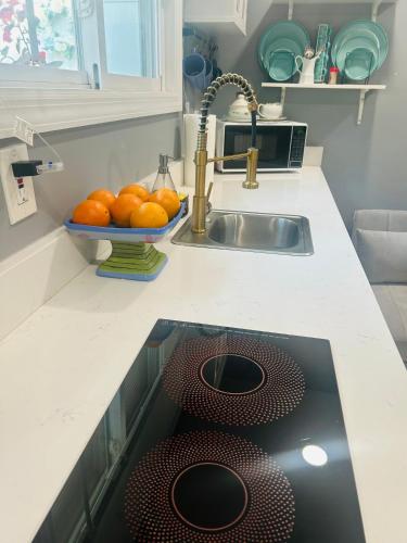 a kitchen counter with a sink and a bowl of oranges at Fancy Studio Private Entrance in Selden