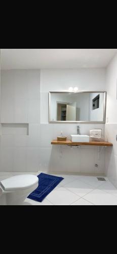 a bathroom with a toilet and a sink and a mirror at Amplia casa, patio y quincho a minutos de la capital in Fernando de la Mora