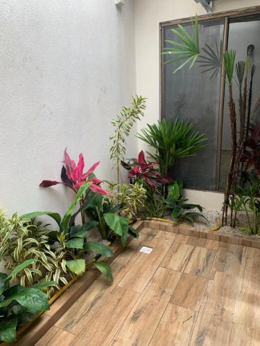 a room with plants and a wooden floor at Sattva Pousada in Pirenópolis