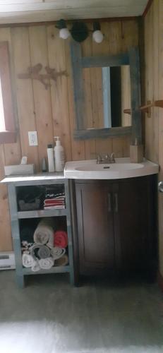 a bathroom with a sink and a mirror at Grangette Entre Chiens et Loups in LʼAnse-Saint-Jean