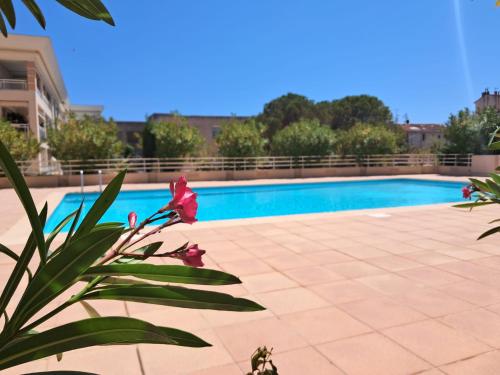 - une vue sur la piscine ornée d'une fleur rose dans l'établissement Port Azur GOLFE JUAN, à Vallauris
