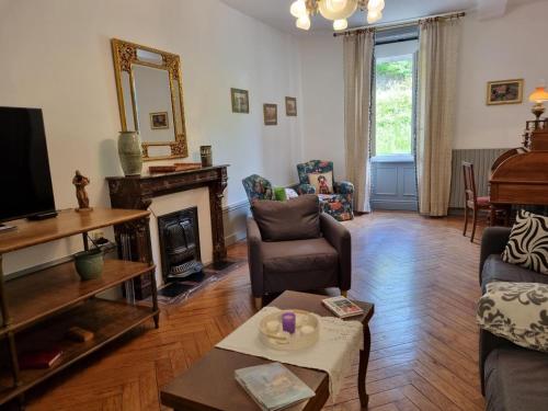 a living room with a fireplace and a television at Charmant gîte pour 6 personnes à Néronde - FR-1-496-357 