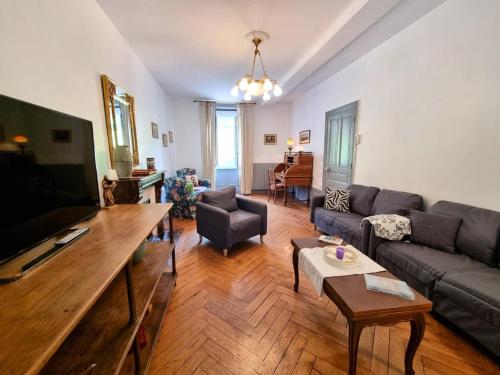 a living room with a couch and a tv at Charmant gîte pour 6 personnes à Néronde - FR-1-496-357 