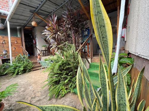 a patio with a bunch of plants and a surfboard at Sua Casa em Noronha - Conforto e Charme na Pousada da Iris in Fernando de Noronha