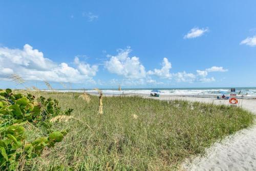 a beach with a field of grass and the ocean at Dolphin Cove 1 block from the Beach in Cocoa Beach