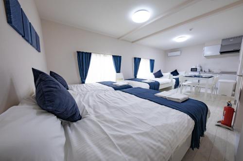 iine house hatagaya