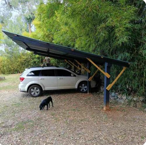 a car parked under a shed with a black cat standing under it at Cabaña en el Lago in Guarne
