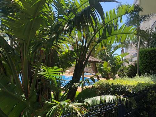 a resort with a pool and some palm trees at Apartamento El Eden in Playa de Gandia