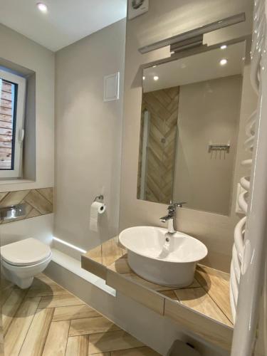 a bathroom with a sink and a toilet at Dom Stanisławy Papież in Biały Dunajec