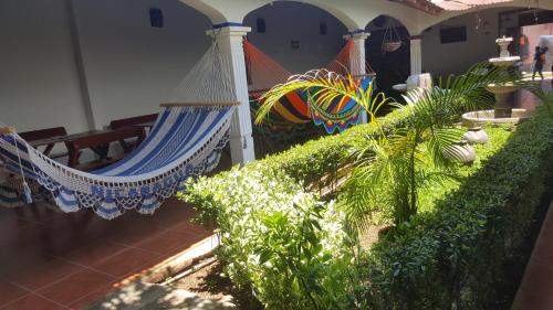 una habitación con hamaca y algunas plantas en Hostal El Jardin en León
