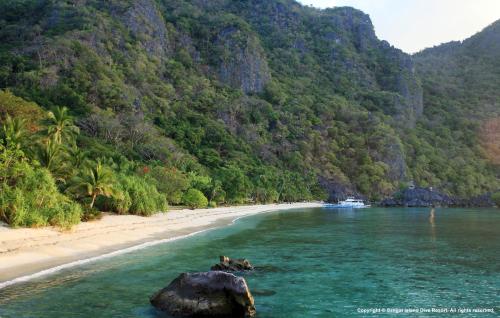 two dogs sitting on a rock in the water near a beach at Sangat Island Dive Resort in Coron