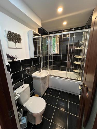 une salle de bain avec toilettes, lavabo et douche dans l'établissement Apartament Iasmina, à Petroşani