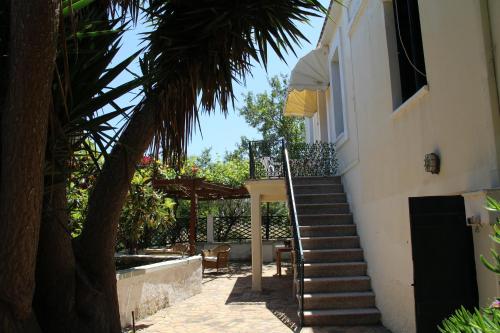 a stairway leading up to a house with a palm tree at Chios Stone House in Chios