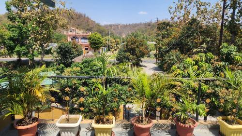 Κήπος έξω από το O M G Home Stay