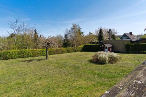 a grassy yard with a small tree in the middle at Modern Holiday Home With Sea View In Tejn in Sandkås