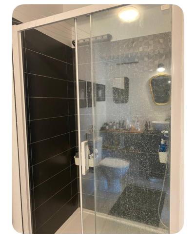 une salle de bain avec une douche en verre et des toilettes dans l'établissement Appartement sous les toits BX Bastide, à Bordeaux