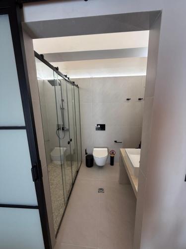 a bathroom with a shower and a toilet and a sink at Villa Zoe (formerly Villa Eboros) in Ratzaklíon
