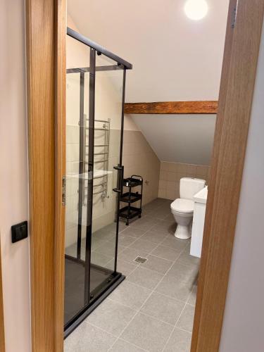 a bathroom with a toilet and a glass door at Atpūta Grašos Mazirbe in Mazirbe