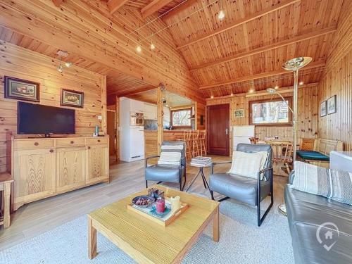 TV a/nebo společenská místnost v ubytování Chalet cosy dans les Ardennes
