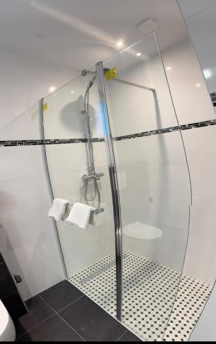 une douche avec une porte vitrée dans une salle de bain dans l'établissement Logement Moderne, à Mundolsheim