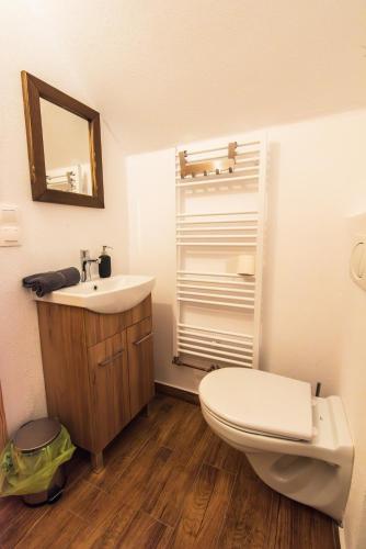 a bathroom with a toilet and a sink at Jókai Guesthouse in Tuşnad