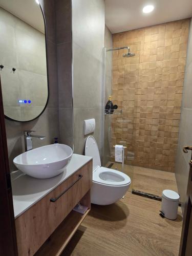 a bathroom with a sink and a toilet and a shower at Complexul Rustic in Avrig