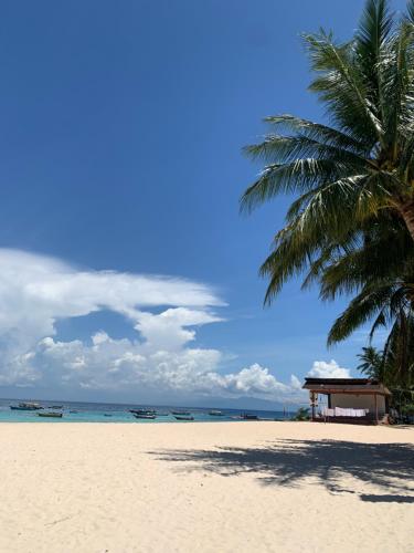 a palm tree on a beach with the ocean at Anis View Chalet in Perhentian Island