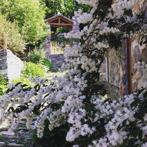 Giardino di Kalderimi Country House