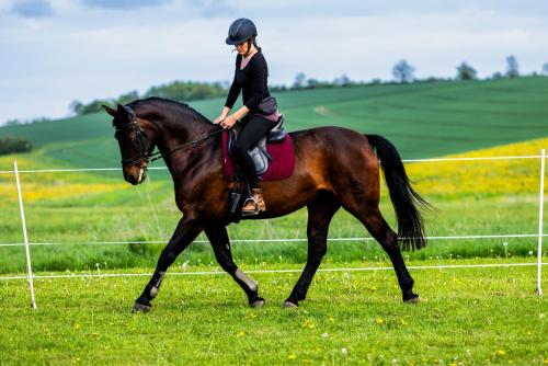 a woman riding a brown horse in a field at Landkulturhof Glücksbringer in Rudolstadt